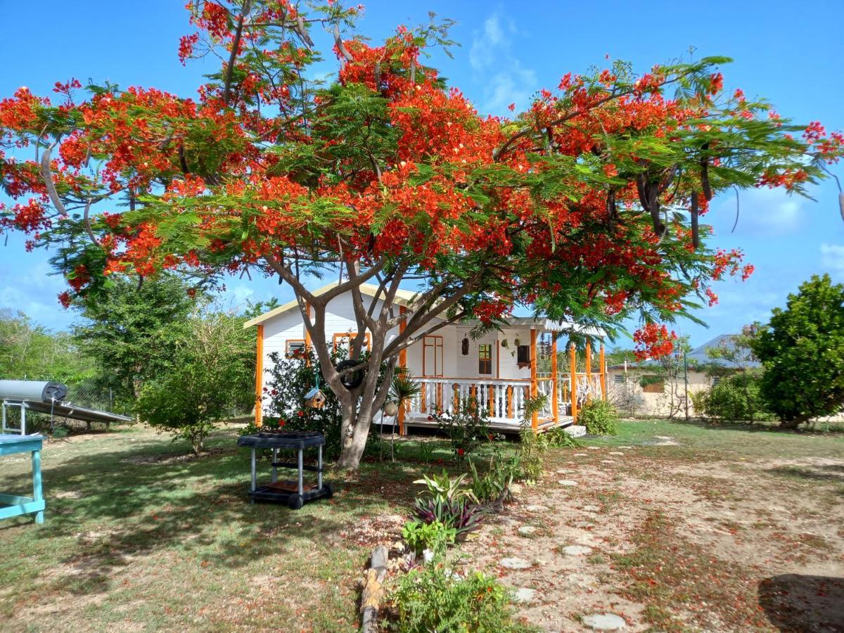 Bungalow Au Soleil سانت فرانسوا المظهر الخارجي الصورة