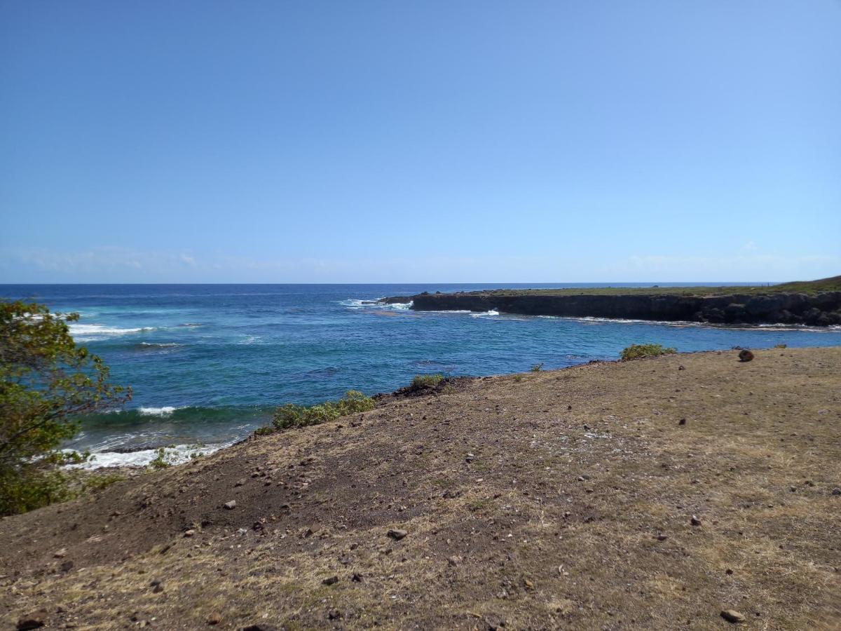 Bungalow Au Soleil سانت فرانسوا المظهر الخارجي الصورة