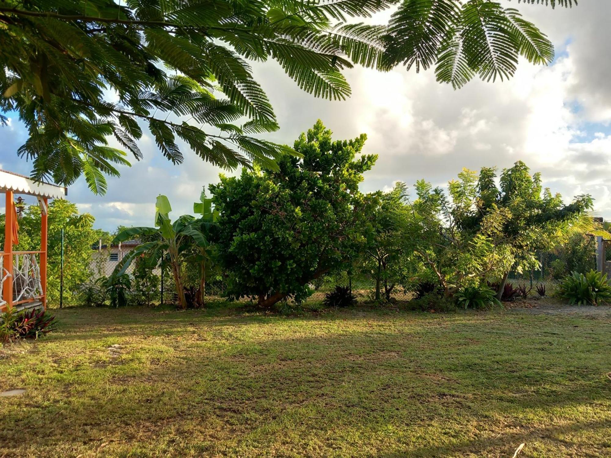 Bungalow Au Soleil سانت فرانسوا المظهر الخارجي الصورة
